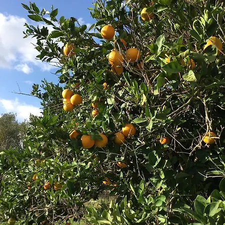 Agriturismo Su Bistentu Iglesias