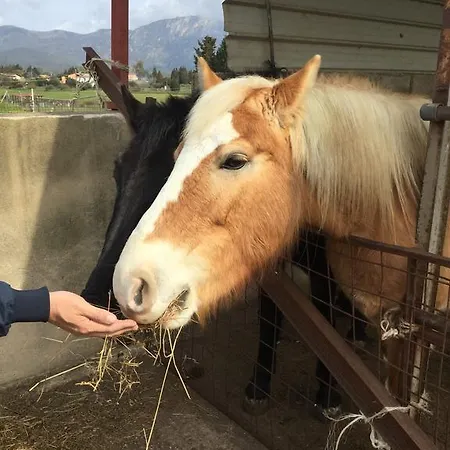 Фермерский дом Agriturismo Su Bistentu Иглесиас