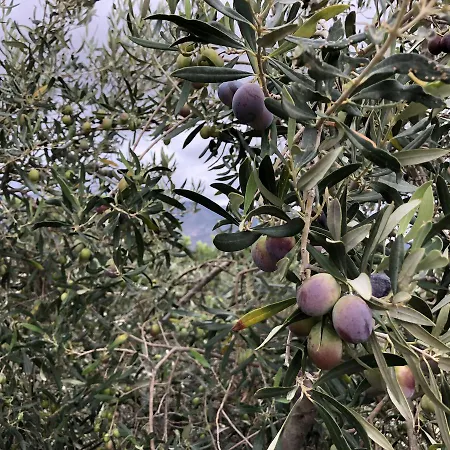 Agriturismo Su Bistentu Iglesias
