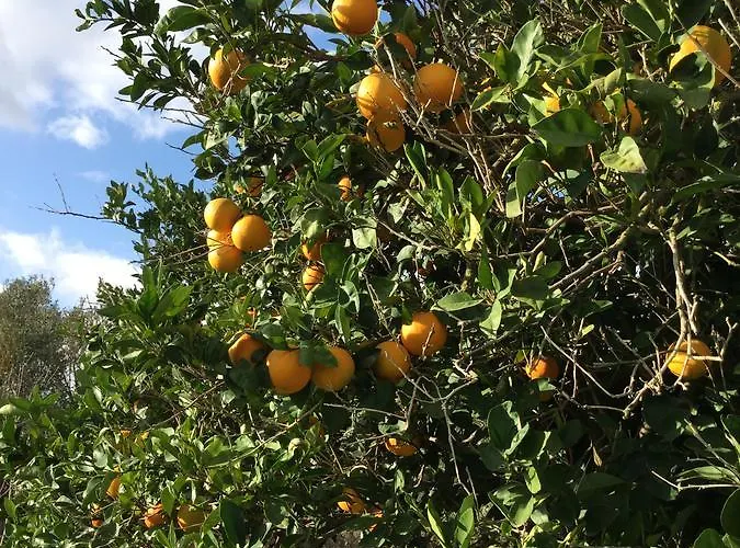 Agriturismo Su Bistentu 伊格莱西亚斯