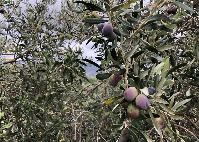 Agriturismo Su Bistentu 伊格莱西亚斯